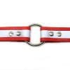 1 Inch Beta Reflective Collar RIC Red